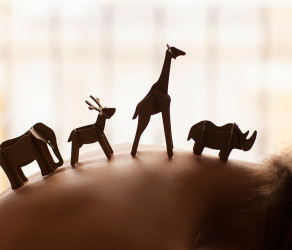 Elementum Erat Congue