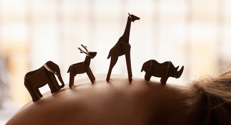 Elementum Erat Congue