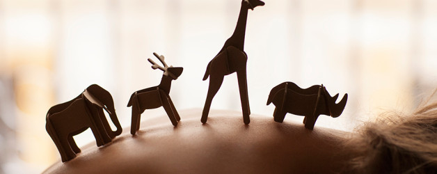 Elementum Erat Congue