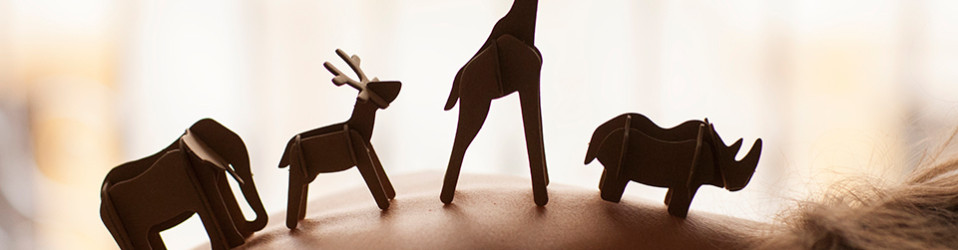 Elementum Erat Congue