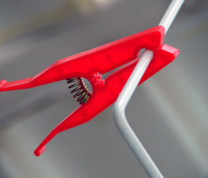 Sed porttitor auctor magna.