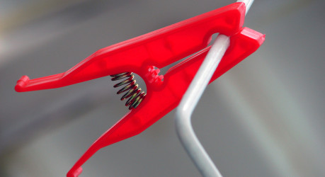 Sed porttitor auctor magna.