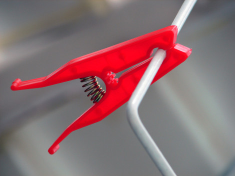 Sed porttitor auctor magna.