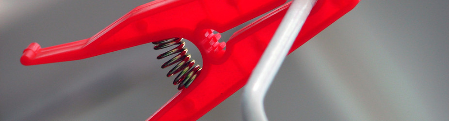 Sed porttitor auctor magna.