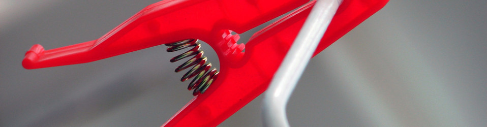 Sed porttitor auctor magna.