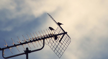 Vestibulum Bibendum Nibh Quis Sollicitudin