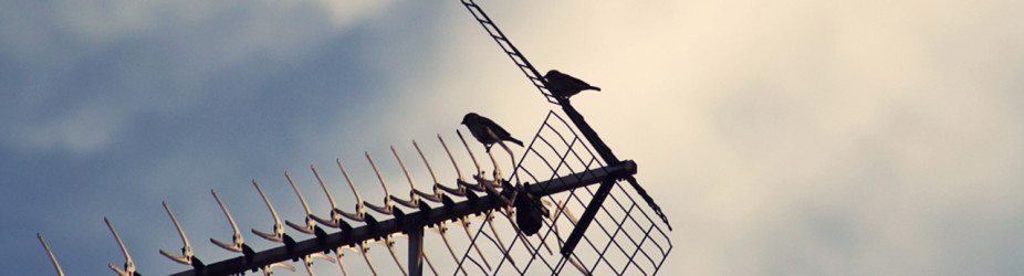 Vestibulum Bibendum Nibh Quis Sollicitudin