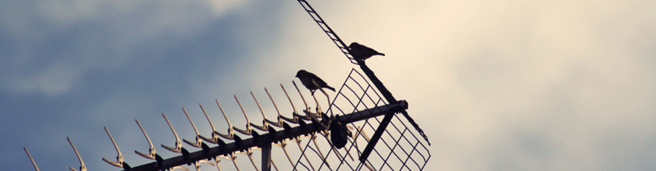 Vestibulum Bibendum Nibh Quis Sollicitudin