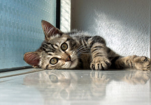 Relax ! Take it easy !