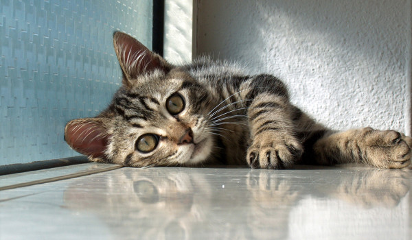 Relax ! Take it easy !