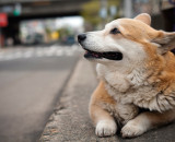 Still waiting. Where is he?