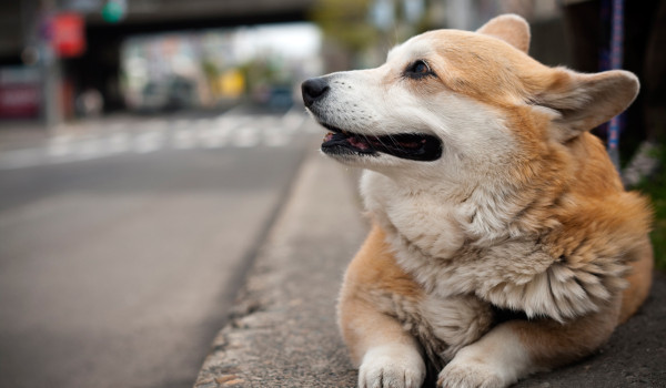 Still waiting. Where is he?